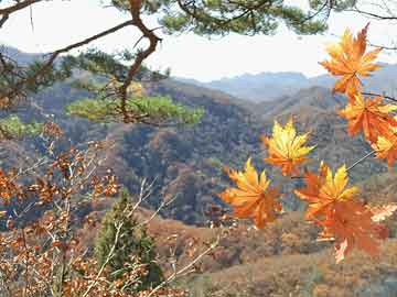 华邦嵩2017最新动态，迈向新的里程碑