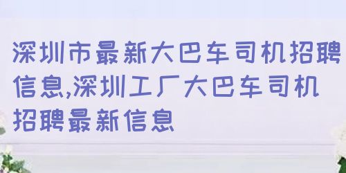 深圳A1司机招聘，职业前景、要求及应聘攻略概览