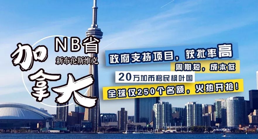 NB省投资移民最新政策全面解析