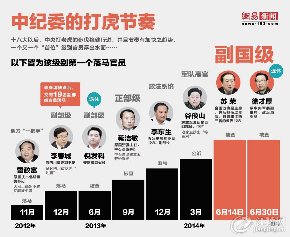 中央打巨虎最新动态全面解析