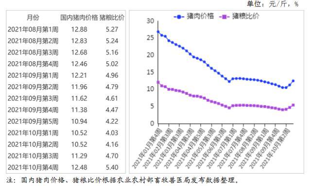 最新生猪价格行情解析