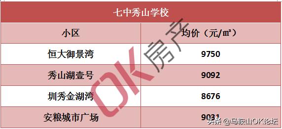 2024年12月4日 第19页