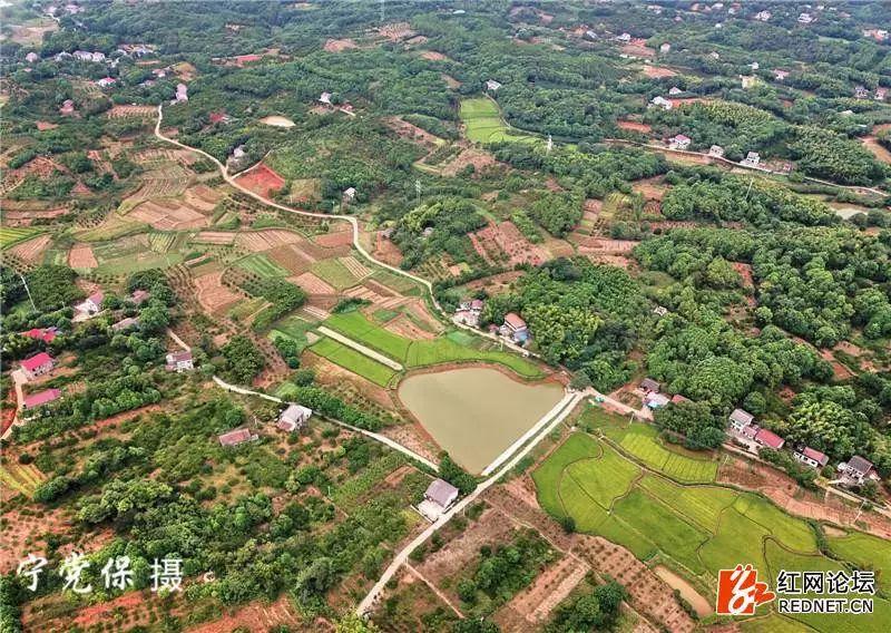 沅江市赤山岛生态宜居旅游胜地规划蓝图揭晓