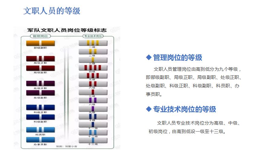 士官文职改革最新动态，深度探讨及未来展望