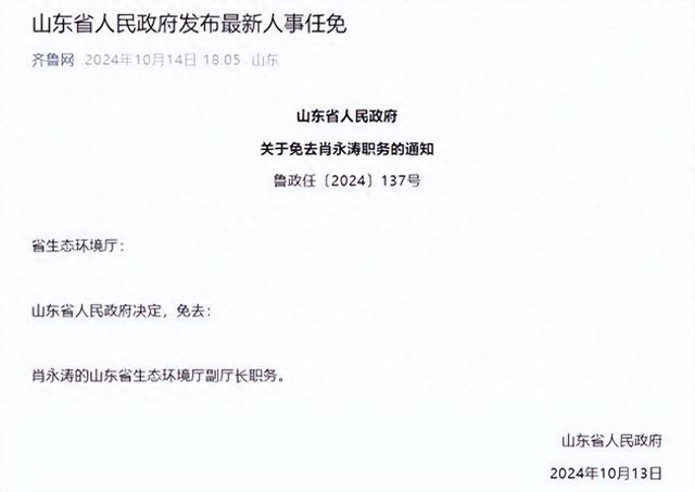 山东省最新人事变动概览，职务调整与领导变动全解析