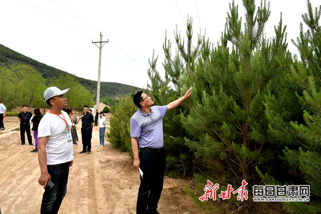 大凤川林场最新新闻