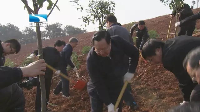 青龙山林场最新新闻动态报道